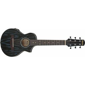 Ibanez EWP16EWB-GAO kép