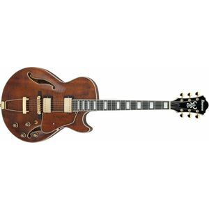Ibanez AG95MG-DA kép