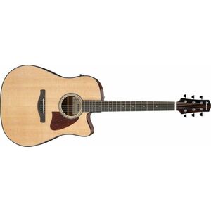 Ibanez AAD51CE-NT kép