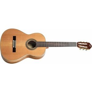Ortega R20GSNRG kép