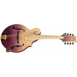 Ortega RMF200PF kép