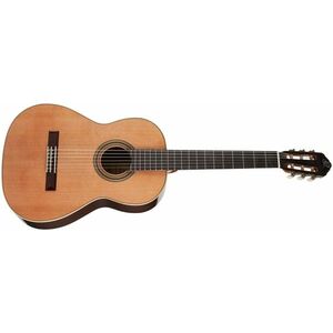 Ortega R19G kép