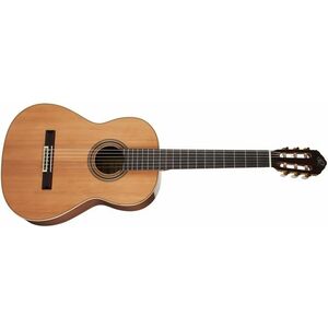 Ortega R20GWN kép