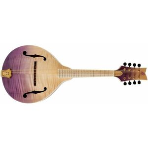 Ortega RMA200PF kép