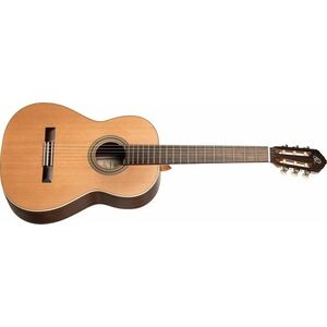 Ortega R19S kép