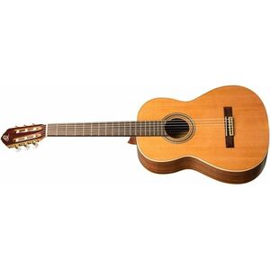 Ortega R20GWN-L kép