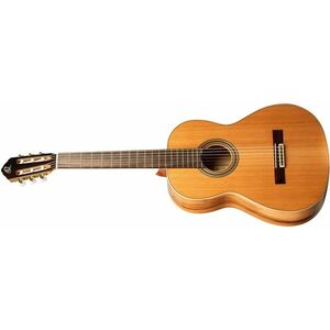 Ortega R20GRG-L kép