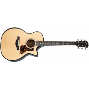 Taylor Builder's Edition 514ce Natural Next Generation kép