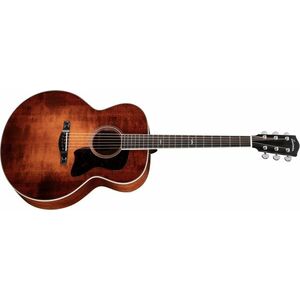 Eastman AC330E-CLA kép
