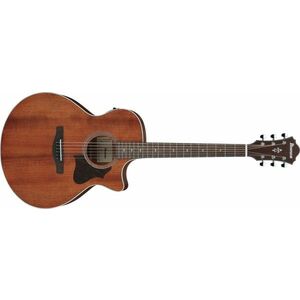 Ibanez AE140 OPN kép