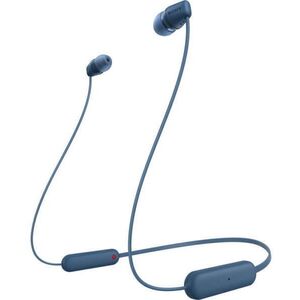 WI-C100 blue (WIC100L.CE7) kép