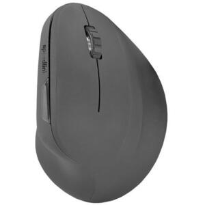 Piavo Wireless SL-630019 kép