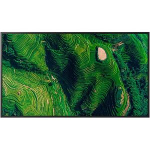 Bravia FW-75BZ35PB kép