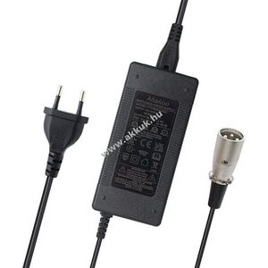 Helyettesítő hálózati töltő 29.4V 2A, 3pin XLR csatlakozó kép