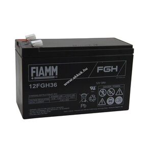 FIAMM 12FGH36 (FGH20902) 12V 9Ah akku ólom kép