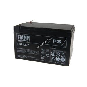 FIAMM ólom akku FG21202 12V 12Ah Pb kép