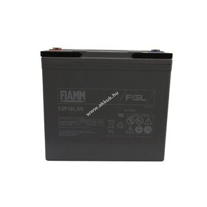 FIAMM OGIV 12FGL55 akku AGM kép