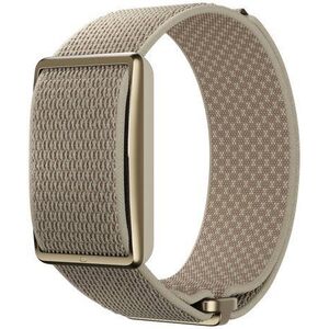 Polar Loop Gen2 S-L, arany kép