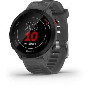 Garmin Forerunner 55 Monterra Grey kép