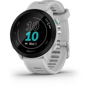 Garmin Forerunner 55 Whitestone kép