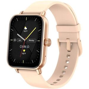 CARNEO Versa HR+ rosegold kép