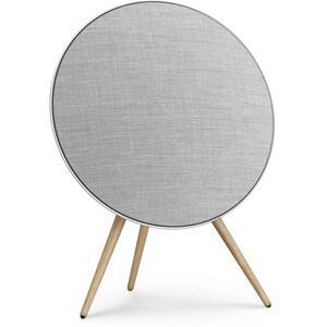 Bang & Olufsen Beosound A9 (5. generáció) Natural Silver kép