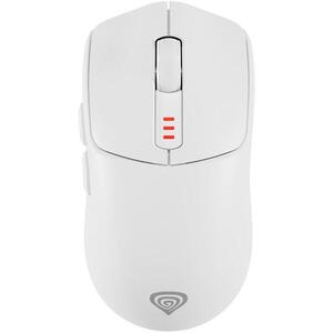 Genesis ZIRCON 500, fehér kép