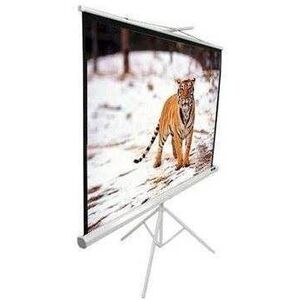 ELITE SCREENS, hordozható 119" (1: 1) kép
