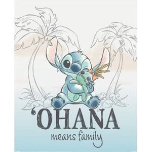 Pyramid Disney Lilo & Stitch Ohana Means Family kép