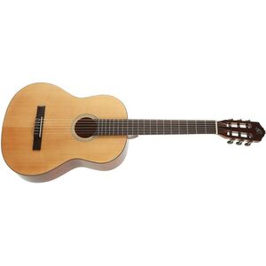 Ortega RST5M kép