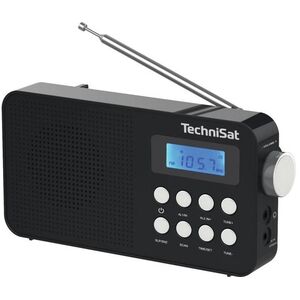 TechniSat FM Classic 110, black kép