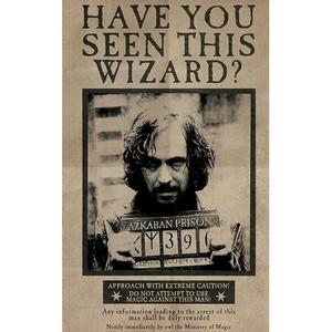 Harry Potter Wanted Sirius Black kép