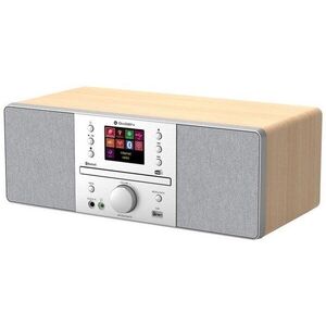 GoGEN IR 267 BT DAB kép