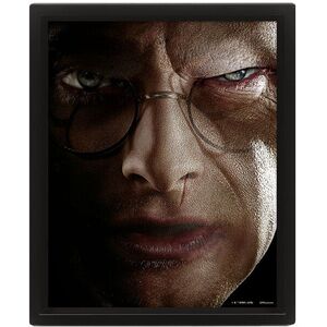 Harry Potter 3D: Harry vs Voldemort, kép kép