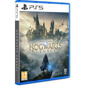 Hogwarts Legacy - PS5 kép