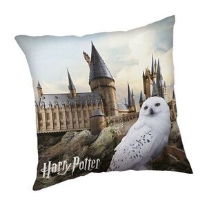 JERRY FABRICS Harry Potter Párna, Hedwig 02, 40×40 cm kép