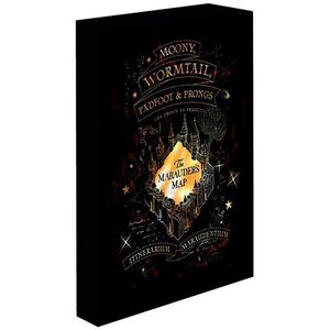 Harry Potter, Tekergők térképe, 30×40 cm, LED világítású kép kép