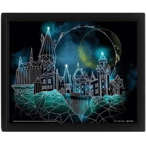 Pyramid International Harry Potter Kép - 3D-s Roxfort kép
