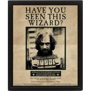 EPEE Harry Potter 3D kép - Sirius kép