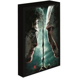 EPEE Harry Potter - Harry vs. Voldemort LED-es világító kép, 30×40 cm kép