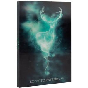 Grupo Erik Harry Potter Expecto Patronum - lentikuláris borítós notesz kép