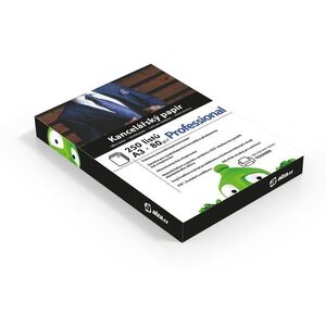 Alza Professional A3 80g 250 lap kép