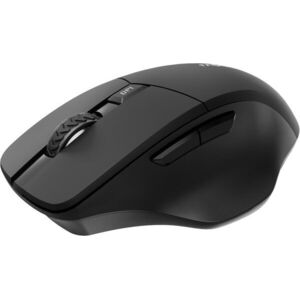 Rapoo M610 Multi-mode 00229636 Fekete kép