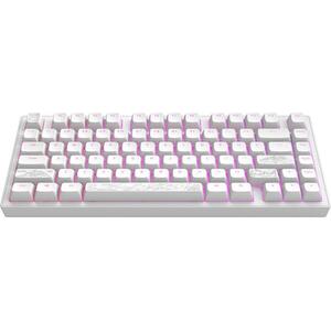 Dark Project ALU Terra Nostra White - US kép