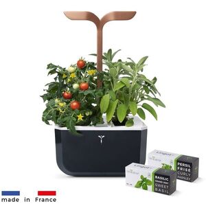 Exky Smart automata virágcserép fényszabályozással, fekete-réz + 2 fűszernövény utántöltő kép