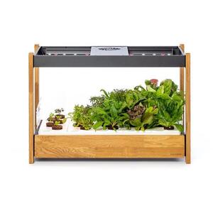 Click and Grow 25, fekete kép