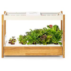 Click and Grow 25, fehér kép