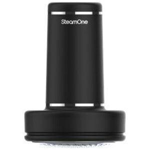 SteamOne RP10B kép