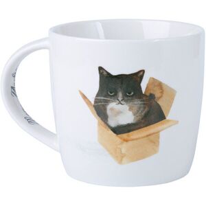 Maxwell & Williams, 400 ml Marc Martin Feline Friends Macska a dobozban kép