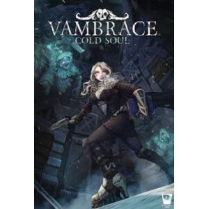 Vambrace: Cold Soul (PC) Steam DIGITAL kép